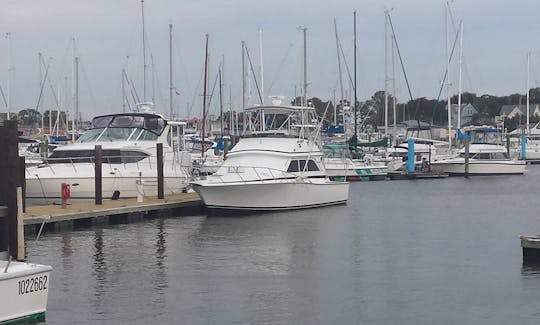 Alquiler de pesca en el yate Dawson Sportfish de 38 pies en Norfolk, Virginia