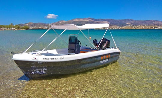 The Sailor's Ride 455 Center Console for 5 People in Paros, Greece