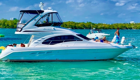 Charter the 46 feet Sea Ray Luxury Sedan Bridge Motor Yacht for up to 13 pe...