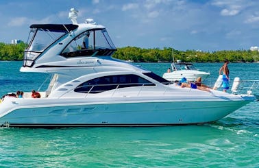 Charter 46' Sea Ray Luxury Sedan Bridge Motor Yacht