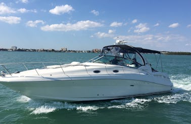 Charter 37' Sea Ray Sports Yacht Charter in Miami Beach, Florida