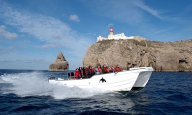 Excursions côtières de 1h30 à Sagres, Faro