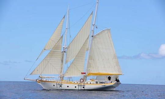 sailing the Grenadines