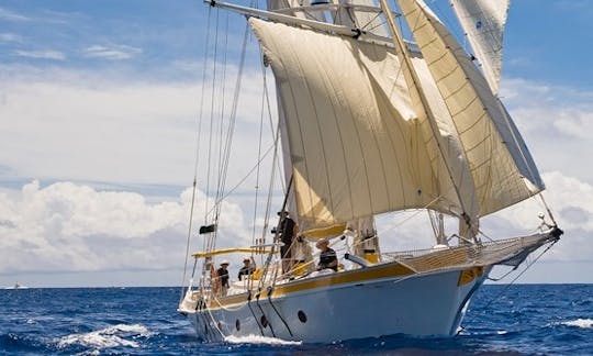 cruising Grenada under sail