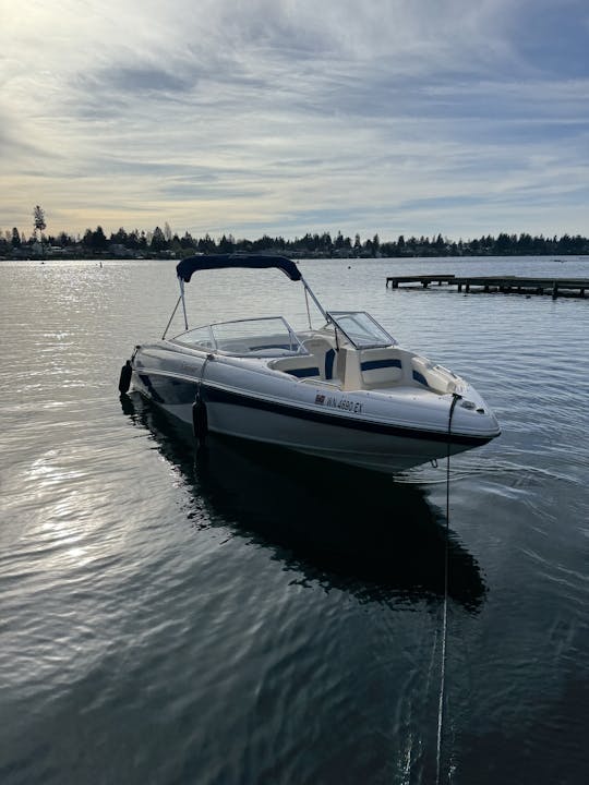 🌊🚤 湖をスタイリッシュに楽しむ 🚤🌊