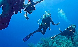 Underwater Tours in Puerto Rico Shore
