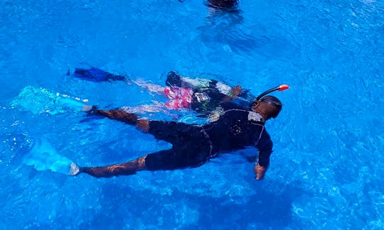 Discover Scuba Diving with Experienced PADI Professionals in Quatre Cocos