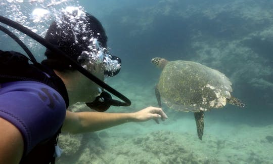 Discover Scuba Diving with Experienced PADI Professionals in Quatre Cocos