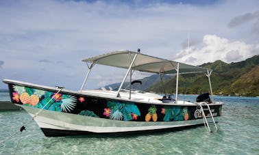 Lagoon and Whales Tour on Moorea!