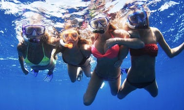 Excursion de plongée sous-marine à Tamarindo, province de Guanacaste