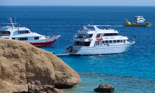 Red Sea Boat Trip I Snorkeling Trip in Tiran Island