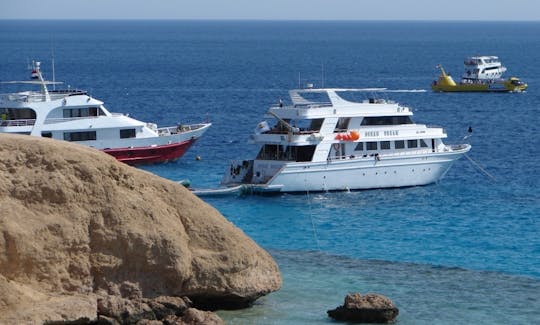 Red Sea Boat Trip I Snorkeling Trip in Tiran Island