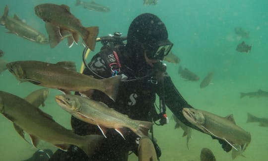 Excursões de mergulho guiadas em Klagenfurt am Wörthersee