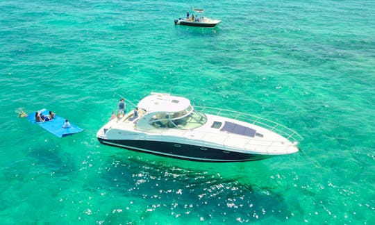 45' Sea Ray Sundancer Motor Yacht - Starting at $291.66 per hr when you book 6hrs - water toys included: water carpet, Paddleboard , floating noodles, snorkeling goggles