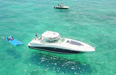 300+ 5 Stars Reviews - UP to 12ppl - 45' Sea Ray Sundance Yacht - As Low as $291.66 per hr - water toys included: water carpet, Paddleboard , floating noodles, snorkeling goggles