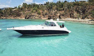 Location de yacht à moteur Sea Ray 460 Sundancer aux États-Unis/BVI