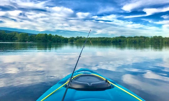 Explore the Wonderful Wildlife of Harrisburg, Pennsylvania on a Kayak
