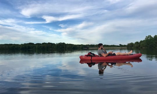 Explore the Wonderful Wildlife of Harrisburg, Pennsylvania on a Kayak