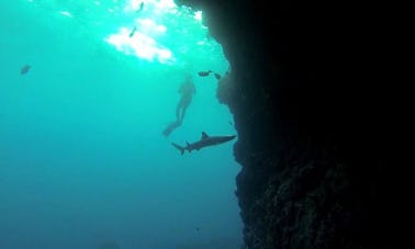 Vacaciones de buceo en las Islas Galápagos