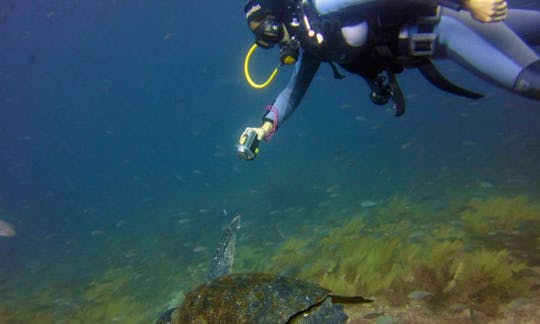 Scuba Diving Vacation in Galapagos Islands