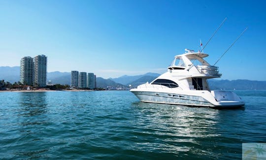 44ft Luxury Yacht in Puerto Vallarta, 12 guests, amenities, fun & Relax