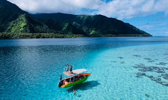 Amazing Private Boat Tour with Professional Guides in Teahupoo, French Polynesia