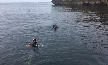 Réservez une excursion de plongée avec tuba à Peniche, Leiria