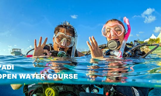 Learn to Scuba Dive today with  our experienced and passionate team!