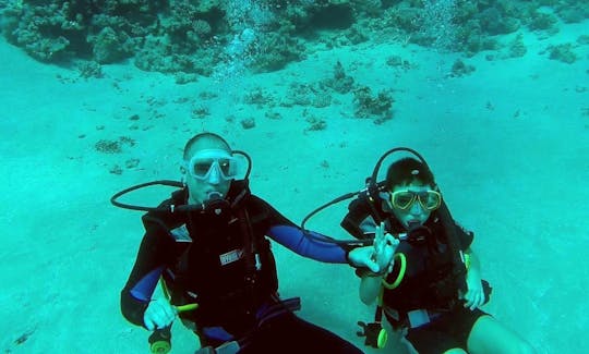 Excursion de plongée sous-marine sur l'île de Tiran en Égypte