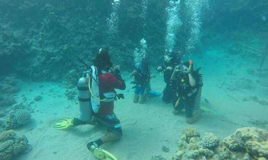 Excursion de plongée sous-marine sur l'île de Tiran en Égypte