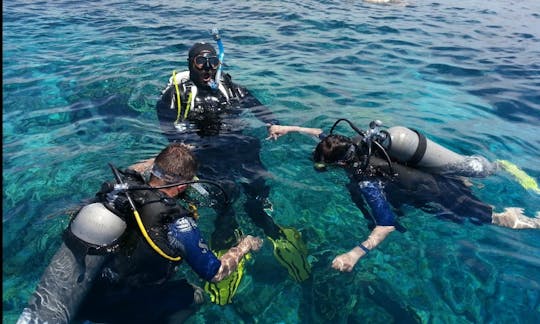 Excursion de plongée sous-marine sur l'île de Tiran en Égypte