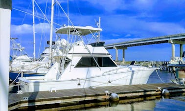 Yacht viking de 41 pieds pour une croisière dans le port de Charleston