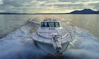 Charter a Riviera 4000 Offshore Sedan Motor Yacht in Taupo, New Zealand