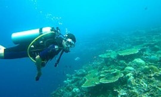 Scuba Diving Negril Jamaica