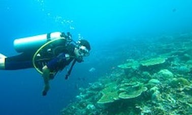 Buceo certificado en 2 tanques en Negril Jamaica