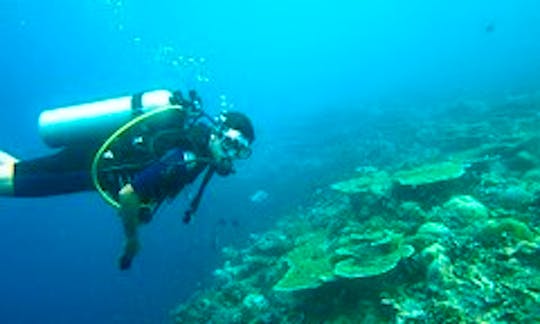 Scuba Diving Negril Jamaica