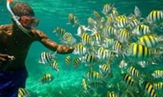 Negril Snorkeling  Jamaica