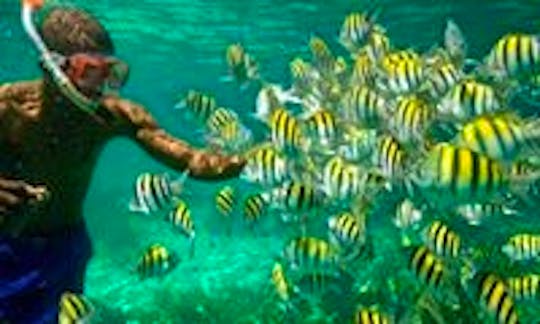 Negril Snorkeling  Jamaica