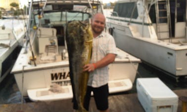 ジャマイカのオーチョリオスでの6人の釣り人のための深海釣り旅行