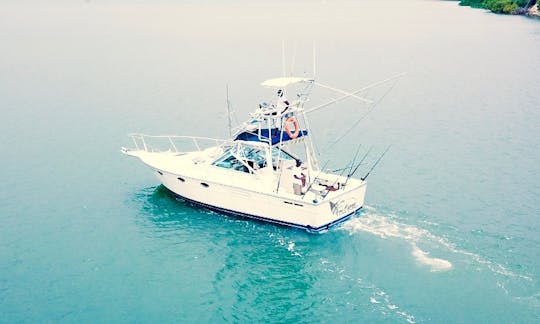 Aerial View Of Our Boat