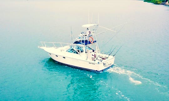 Aerial View Of Our Boat