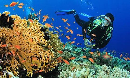 Book a Beginner Diving in Muang Pattaya, Chang Wat Chon Buri