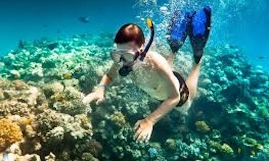 Book a Beginner Diving in Muang Pattaya, Chang Wat Chon Buri