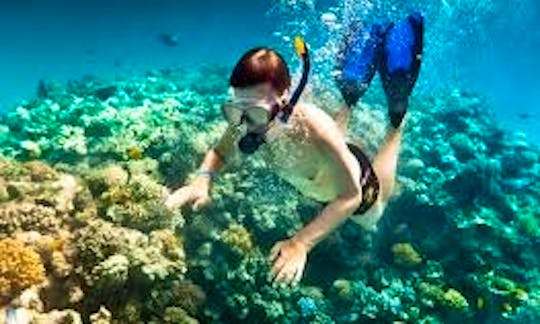 Book a Beginner Diving in Muang Pattaya, Chang Wat Chon Buri