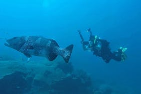 Learn To Dive with the Professionals in Kilindoni, Pwani Region