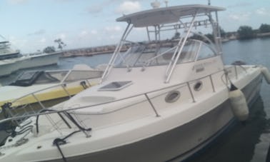 Private Snorkeling and Cruising Boat Rental for 6 People in Ocho Rios, Jamaica