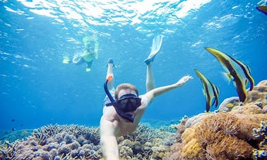 Nusa Penida Snorkeling Tour in 4 Spots!