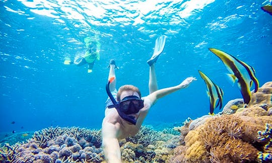 Nusa Penida Snorkeling Tour in 4 Spots!