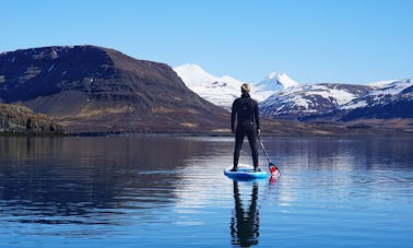 Experiencia inolvidable de surf de remo en Islandia | Fotos gratis