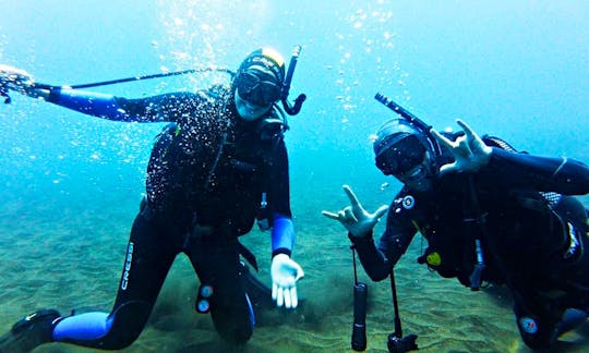 Book the Open Water Diver in Funchal, Madeira